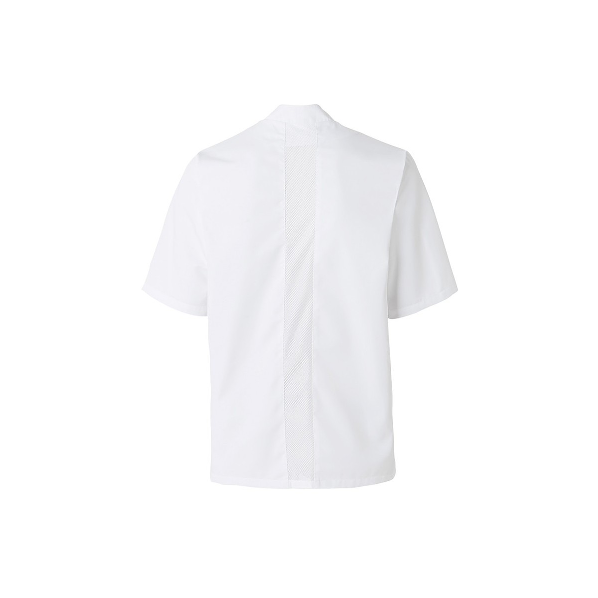 Cooking jacket mezzo (short sleeves) - Molinel