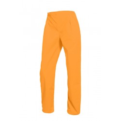 Pantalons / Pantacourts Femme VICTOR Orange