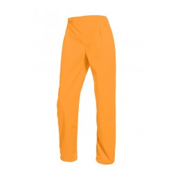 Pantalons / Pantacourts Femme VICTOR Orange